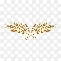 �ֲ���ֻ��������-������