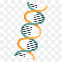 扁平化染色体-空若网 扁平化染色体-空若网