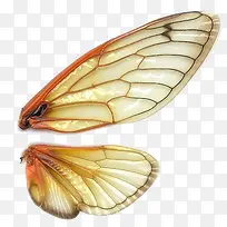 ������-������