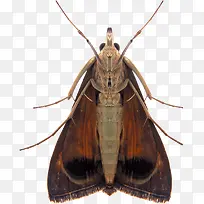 ����ɶ�-������