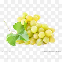 水果素材-空若网 水果素材-空若网