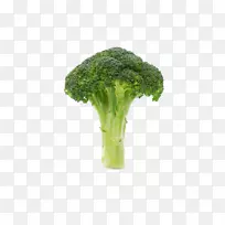 �������߲�ͼ��-��Ҭ��-������