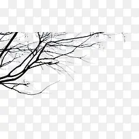 ����֦-������