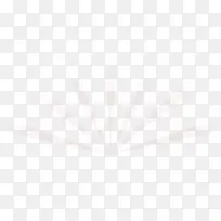 白色放射状元素-空若网 白色放射状元素-空若网