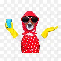 ����������׵�С��-������