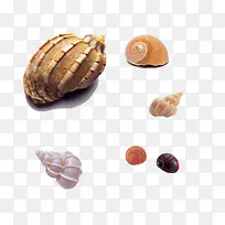 ɳ̲����-������