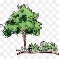 ��ɫ����-������