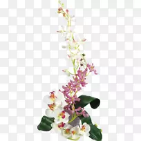 花束切花兰花电脑图标兰花-空若网 花束切花兰花电脑图标兰花-空若网