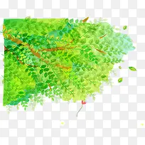 绿叶-空若网 绿叶-空若网