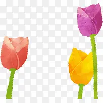 郁金香春天插画素材-空若网 郁金香春天插画素材-空若网
