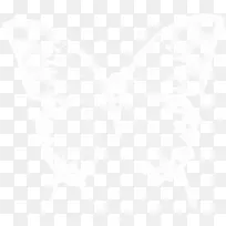 蝴蝶-空若网 蝴蝶-空若网