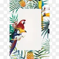 鹦鹉素材-空若网 鹦鹉素材-空若网