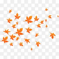 ��ɫ����Ѥ���ķ�Ҷ-������