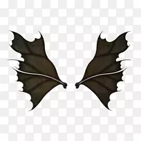 ��Ů�������-������