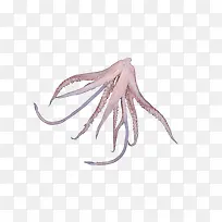 ������ʳ��-������