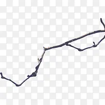 ľ����֦-������