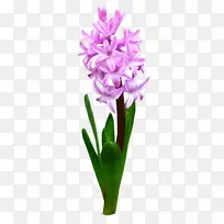 �л�����-����-������