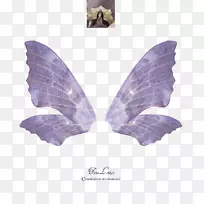 ��Ů����������-���-������