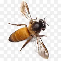 �۷�����-������