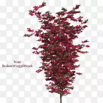 植树剪贴画-空若网 植树剪贴画-空若网