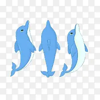 海豚 动物 可爱-空若网 海豚 动物 可爱-空若网