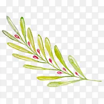 青叶-空若网 青叶-空若网