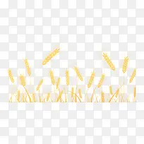 С���ز�-������