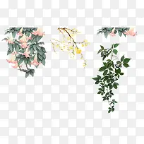 ������֦-������