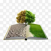 �����鱾�ϴ���-������