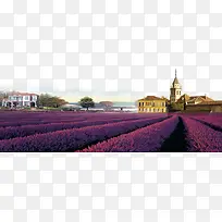紫色薰衣草庄园-空若网 紫色薰衣草庄园-空若网