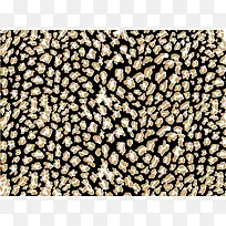 ʱ�б���ͼ��-������