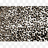 ʱ�б���ͼ��-������