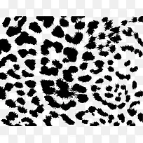 时尚豹纹图案-空若网 时尚豹纹图案-空若网