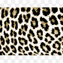 ʱ�б���ͼ��-������