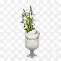 花卉设计水彩画-酯-空若网 花卉设计水彩画-酯-空若网