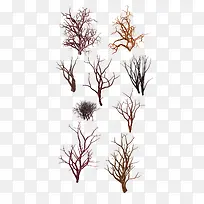树枝丫图-空若网 树枝丫图-空若网