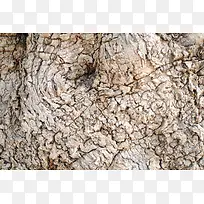 树皮背景底纹-空若网 树皮背景底纹-空若网