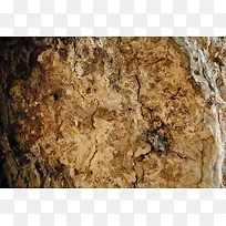 ľ�Ʊ�������-������