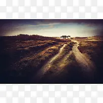 ������ȾЧ����ղ�ԭ��Ӱ-������