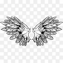 羽翼-空若网 羽翼-空若网