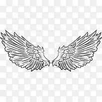 羽翼-空若网 羽翼-空若网