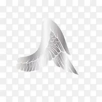 ���png-������