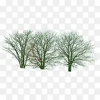 ¹àľÂÌÊ÷¾°¹ÛÊ÷Ч¹ûÌùͼ-¿ÕÈôÍø ¹àľÂÌÊ÷¾°¹ÛÊ÷Ч¹ûÌùͼ-¿ÕÈôÍø