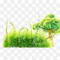 大树-空若网 大树-空若网