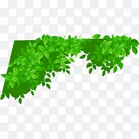 ��ɫ��Ҷ-������