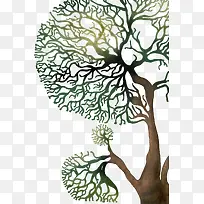 ����-������