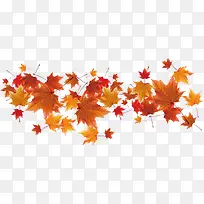 高清摄影实拍枫叶-空若网 高清摄影实拍枫叶-空若网