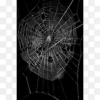 ��ɫ������ɫ֩����-������