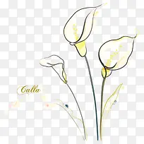 卡通手绘 小花-空若网 卡通手绘 小花-空若网