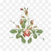 手绘画花朵装饰设计-空若网 手绘画花朵装饰设计-空若网